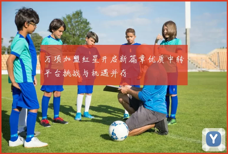 万项加盟红星开启新篇章优质中转平台挑战与机遇并存
